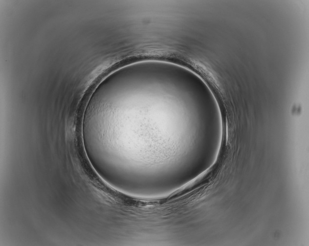 X0000090470483200707201357