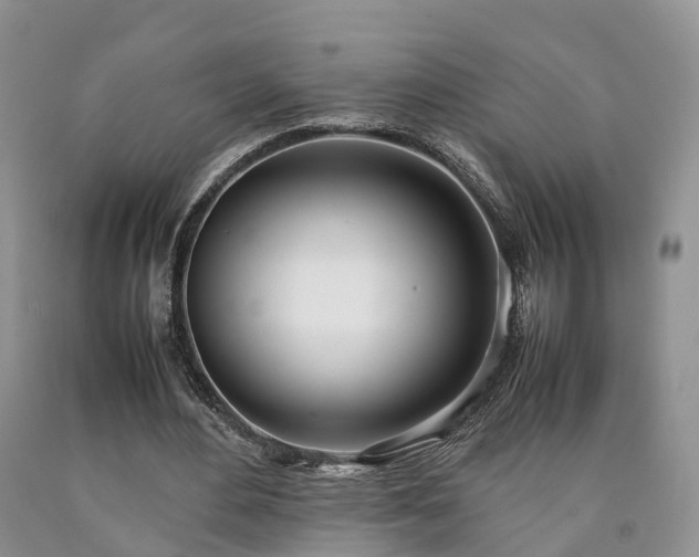 X0000090470484200707201357