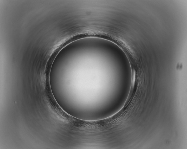 X0000090470488200707201357
