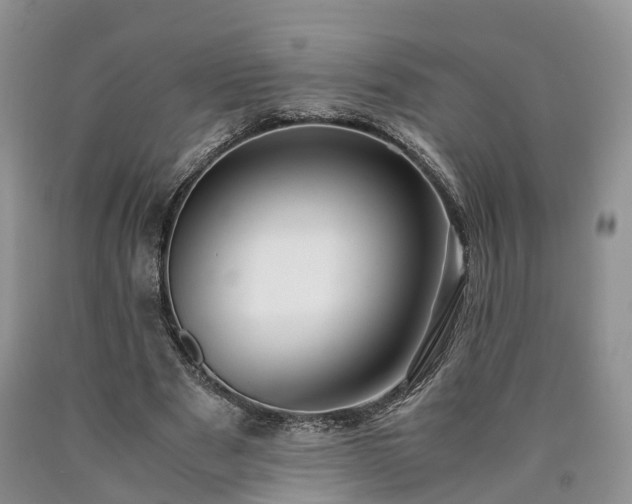 X0000090470489200707201357