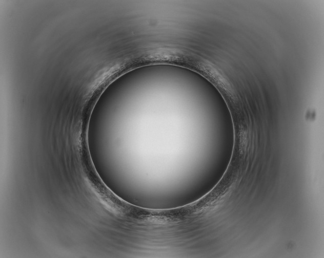 X0000090470490200707201357