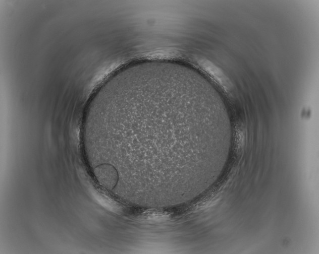 X0000090470491200707201357