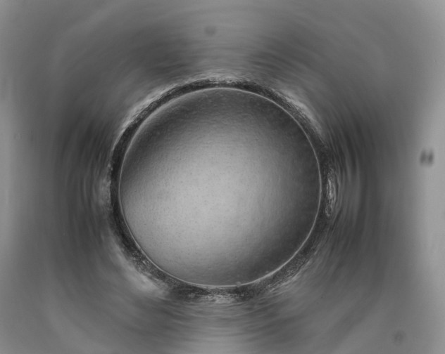 X0000090470492200707201357