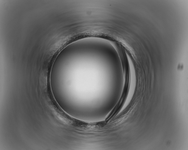 X0000090470493200707201357