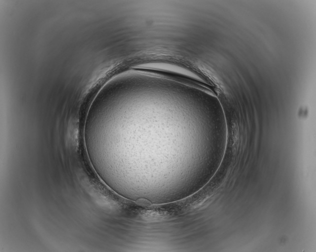 X0000090470494200707201357