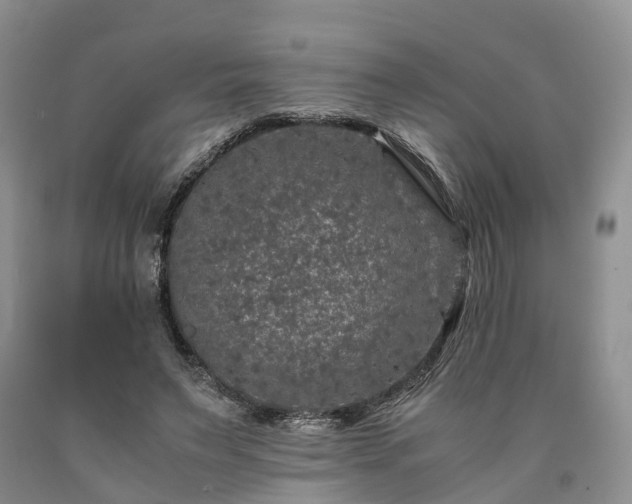 X0000090470495200707201357