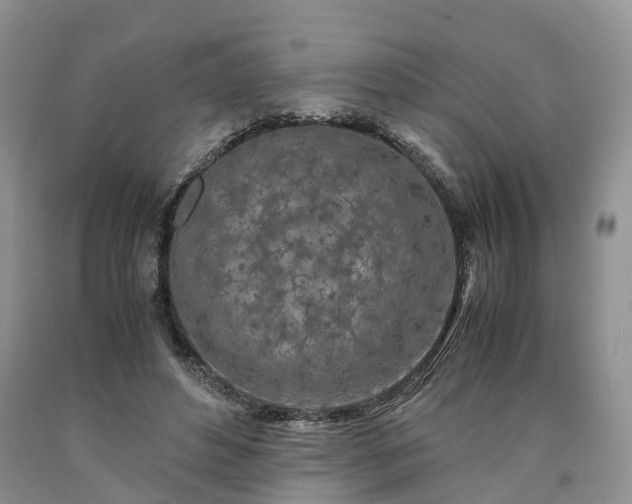 X0000090470496200707201357