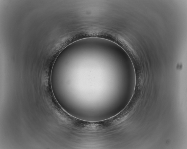 X0000090470497200707201357