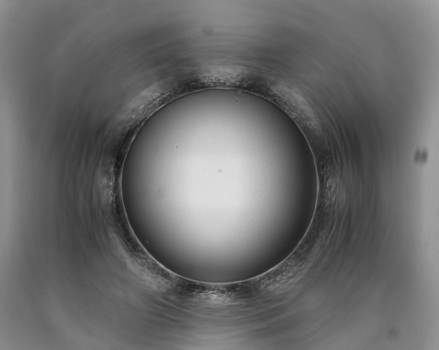 X0000090470498200707201357