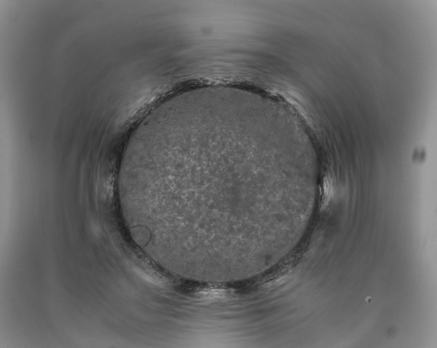 X0000090470499200707201357