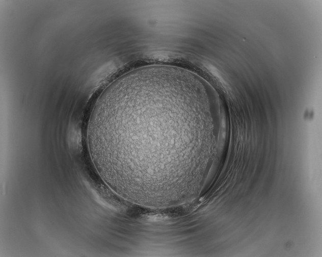 X0000090470500200707201357