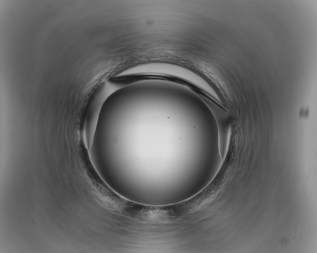 X0000090470501200707201357