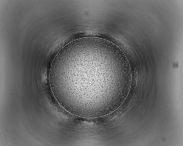 X0000090470502200707201357