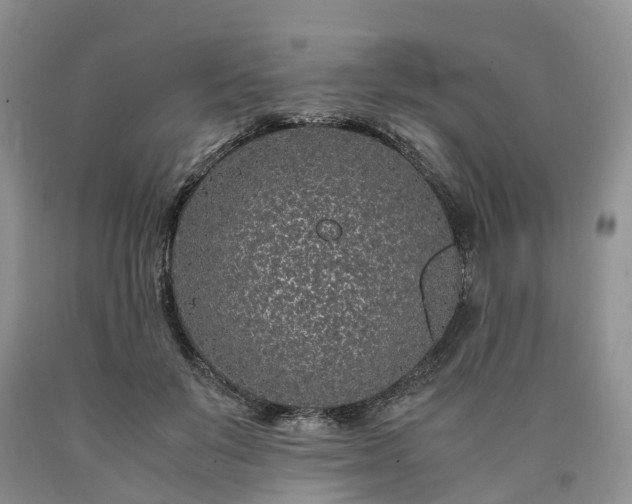X0000090470503200707201357