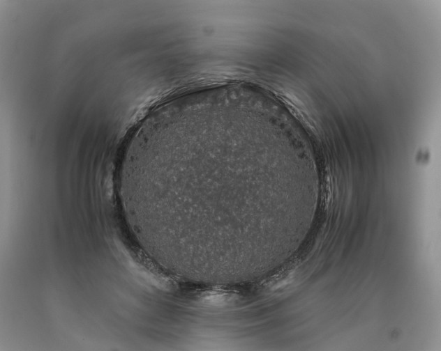 X0000090470504200707201357