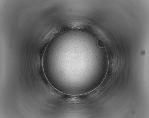 X0000090470506200707201357