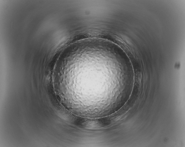 X0000090470507200707201357