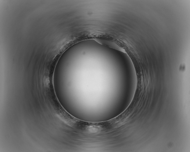X0000090470508200707201357