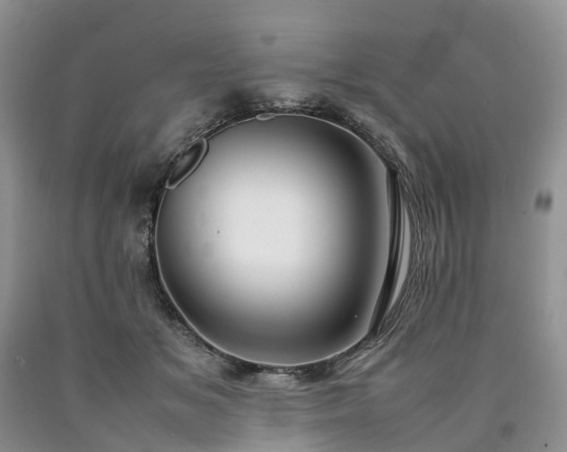 X0000090470509200707201357