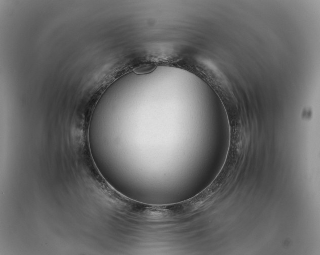 X0000090470510200707201357