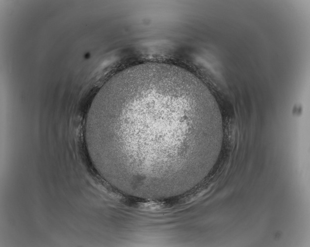 X0000090470511200707201357
