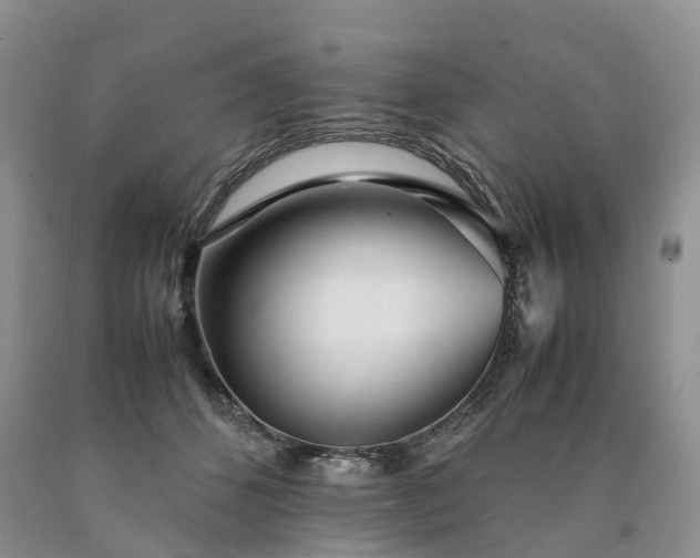 X0000090470512200707201357