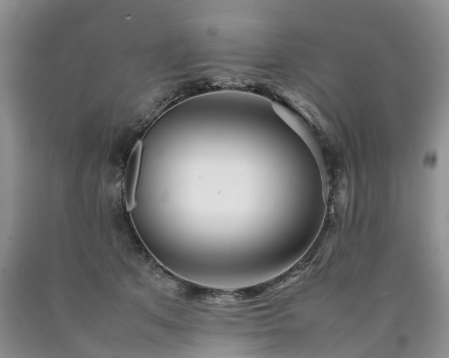 X0000090470513200707201357