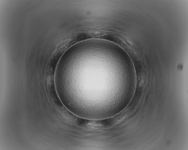 X0000090470515200707201357
