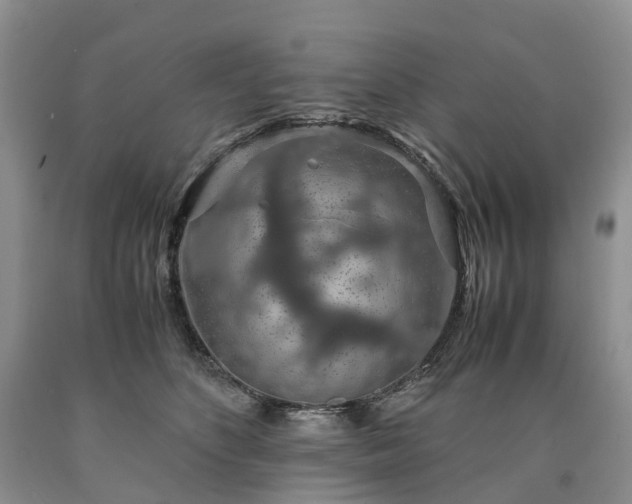 X0000090470516200707201357