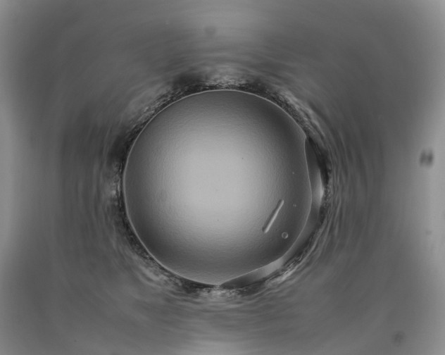 X0000090470517200707201357