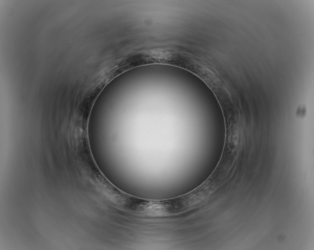 X0000090470518200707201357