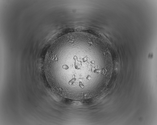 X0000090470519200707201357