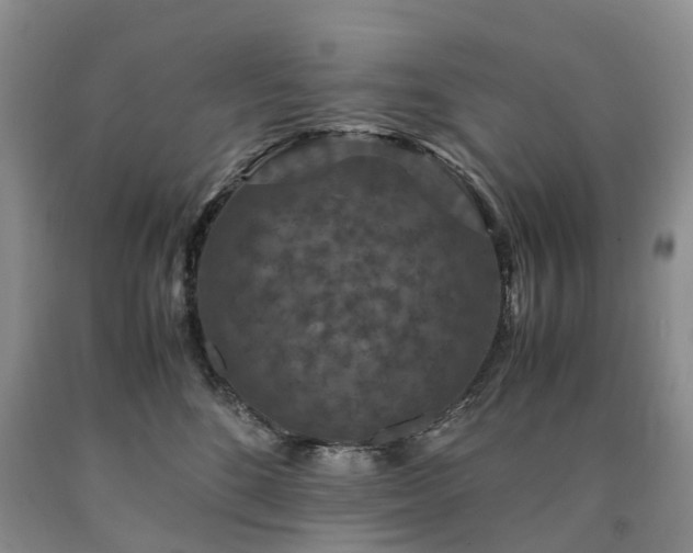 X0000090470520200707201357