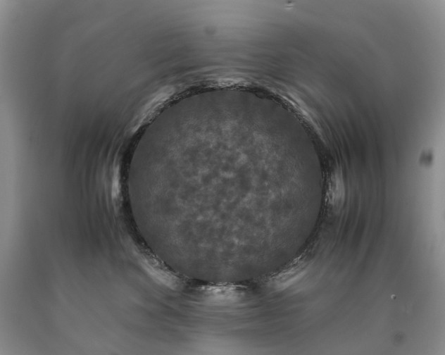 X0000090470524200707201357