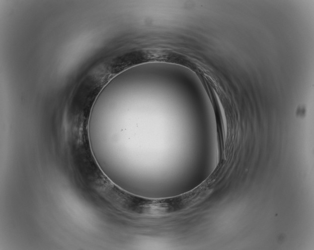 X0000090470525200707201357