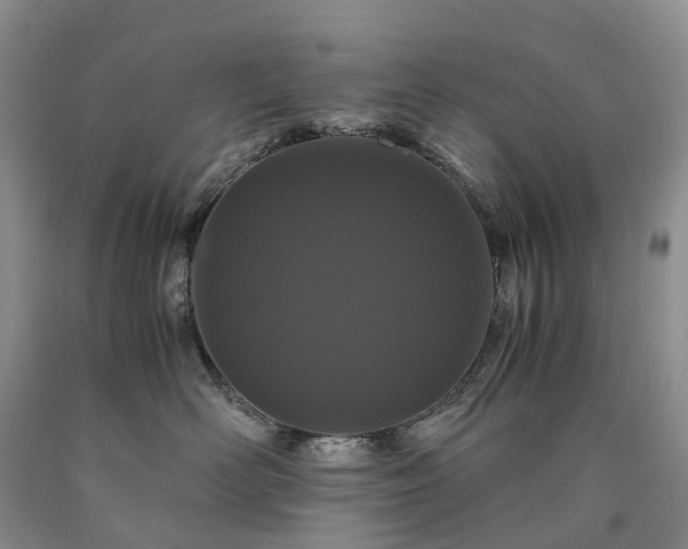 X0000090470526200707201357