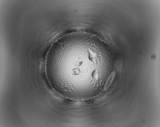 X0000090470527200707201357