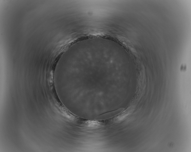 X0000090470528200707201357