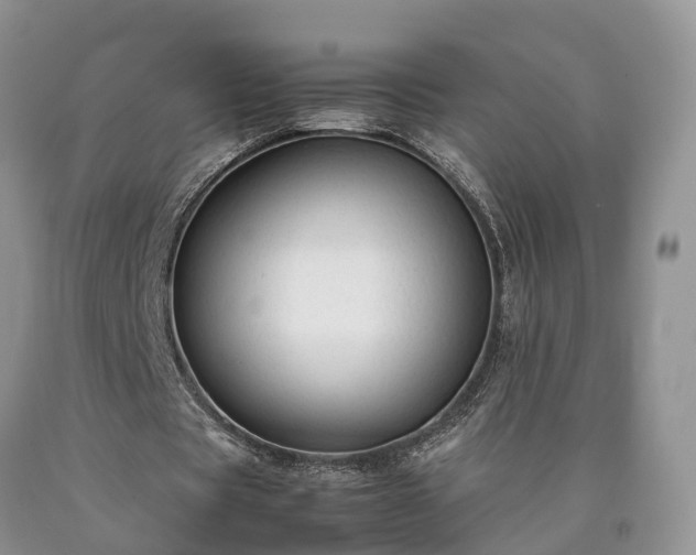 X0000090470529200707201356
