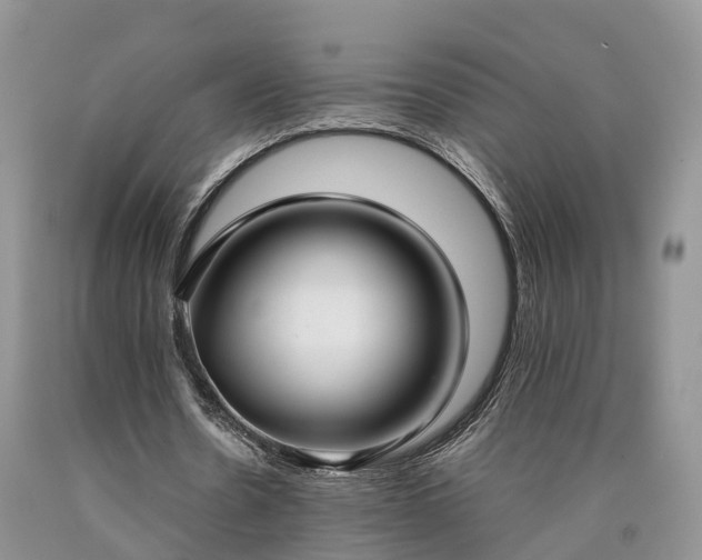 X0000090470530200707201356