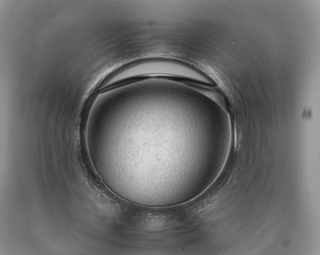 X0000090470531200707201356