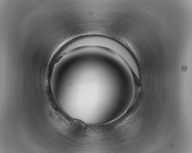 X0000090470532200707201356