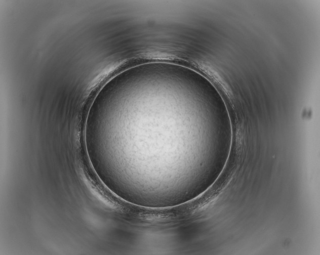 X0000090470533200707201356