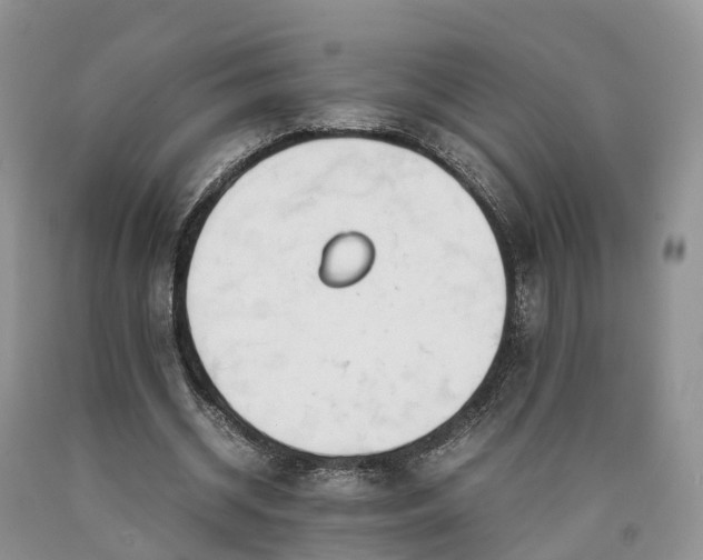 X0000090470534200707201356