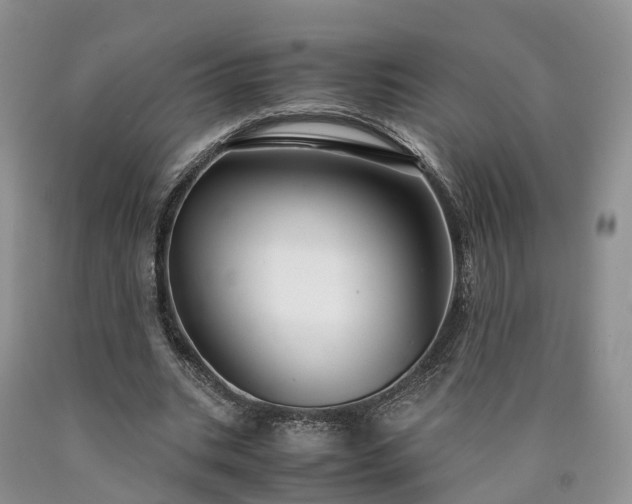 X0000090470535200707201356