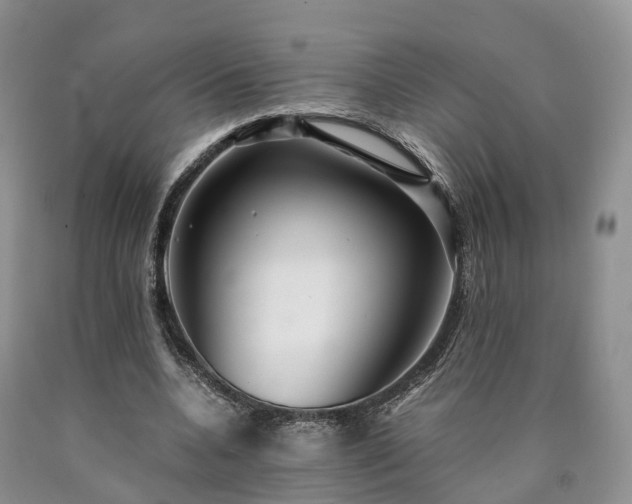 X0000090470536200707201356