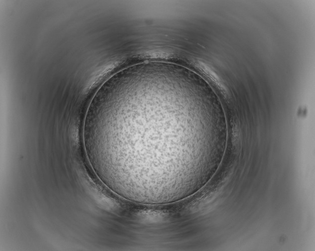 X0000090470537200707201356