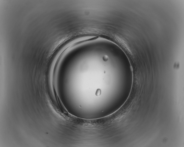 X0000090470538200707201356