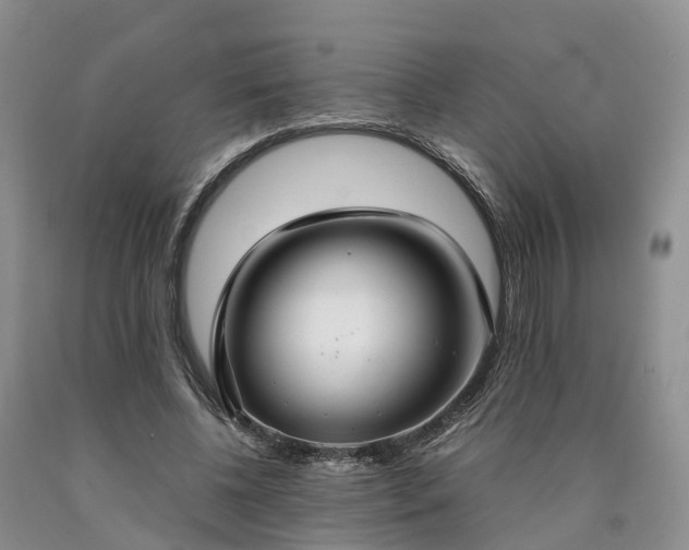 X0000090470540200707201356