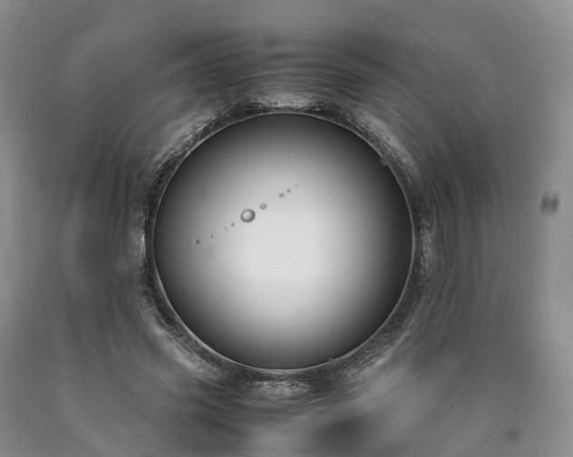X0000090470541200707201356